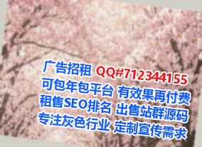 港口代妈光电事务所